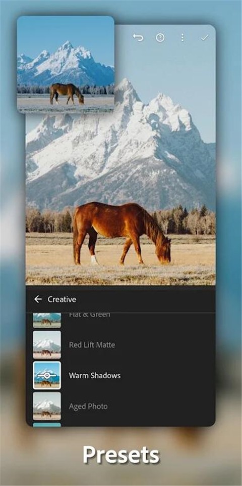 Lightroom修图截图2