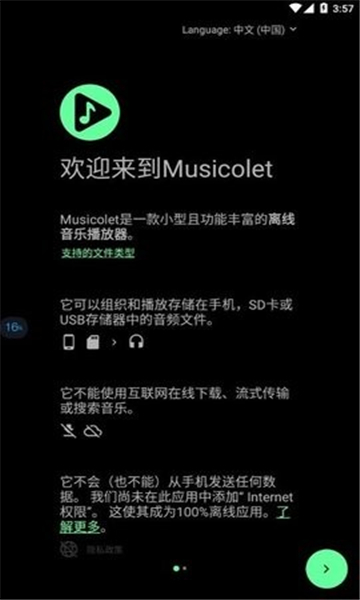 musicolet中文版截图2