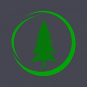 Pine模拟器