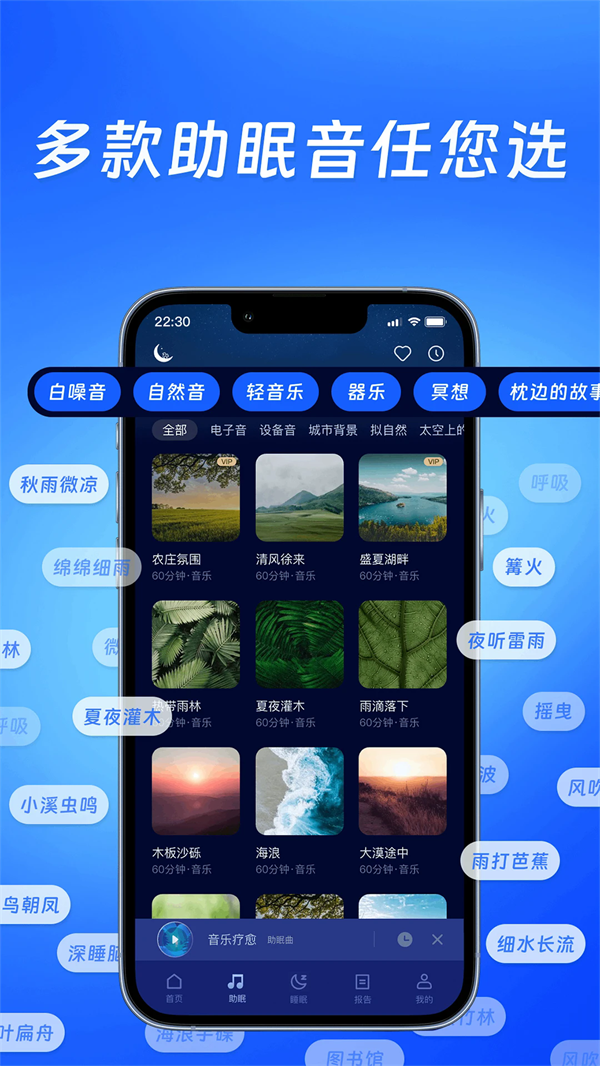 松鼠睡眠截图3
