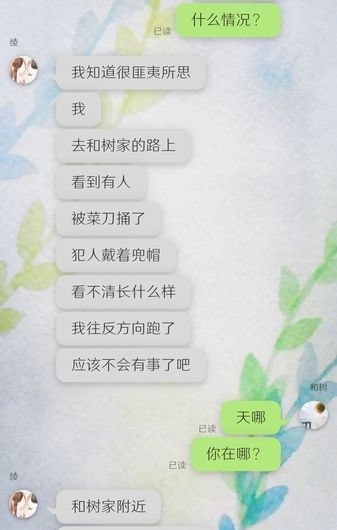 我的女友在被人追赶截图1