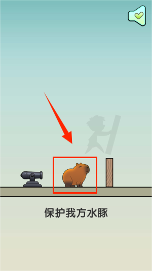 保护我方水豚