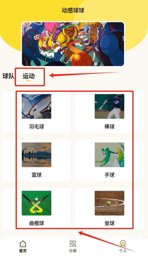 动感球球
