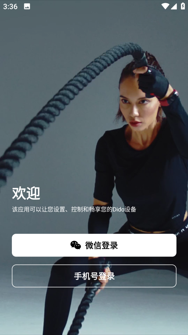 Dido截图0