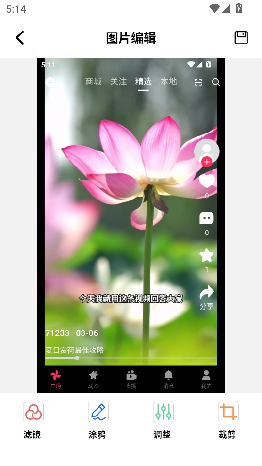 36乐园免费版