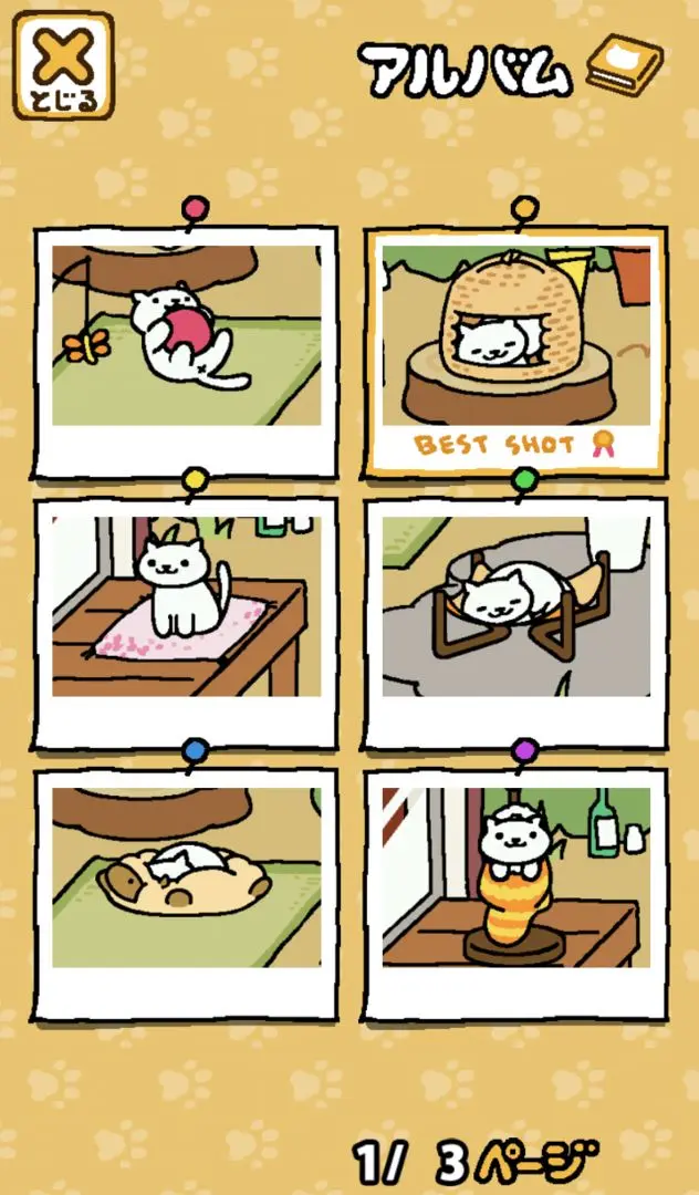 猫咪后院2国际版截图1