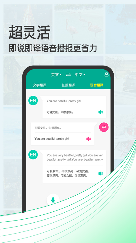 拍照翻译宝截图2