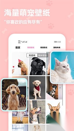 动物语言翻译器免费正版截图2