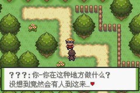 口袋妖怪釉色改版截图1