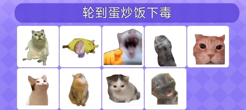 女巫的毒药猫Meme版截图1