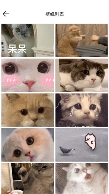 壁纸集截图0