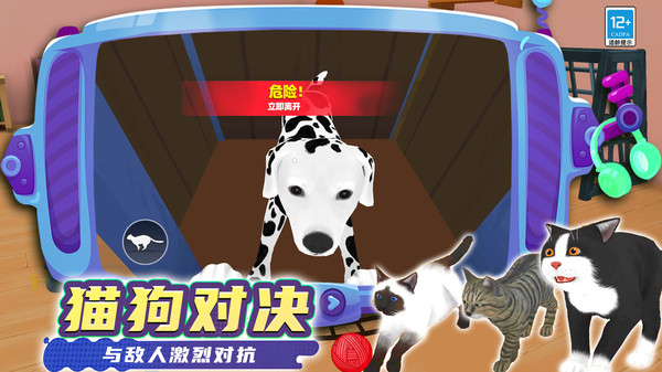 奇妙猫猫王国截图2