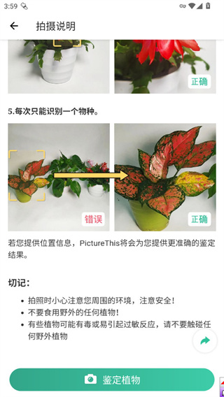 picturethis植物识别器截图2