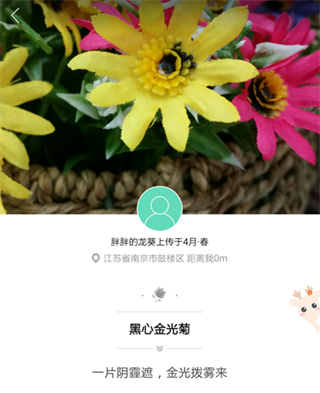 picturethis植物识别器