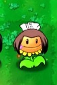 植物大战僵尸火影版正版