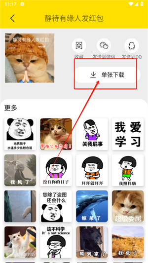 悦动表情包