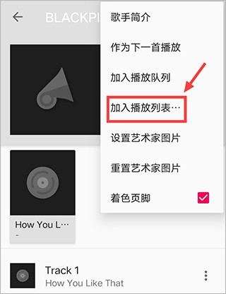 音乐播放器hifi专业版