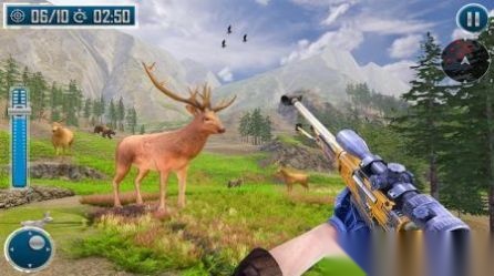 动物射击枪截图1