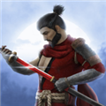忍者武士隆最新版