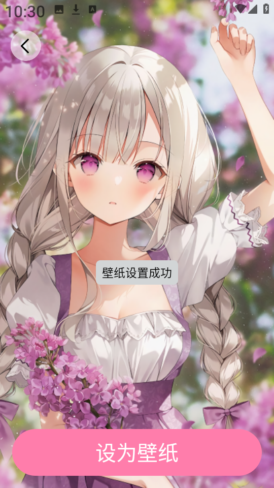 小粉世界壁纸安卓版