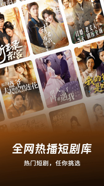 红柿免费短剧截图0