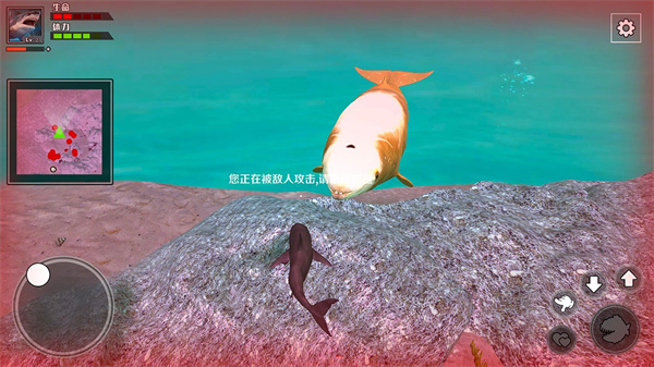饥饿鲨鱼求生内购版截图0