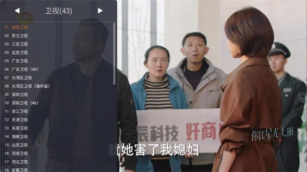WebView电视截图3