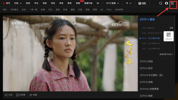 WebView电视