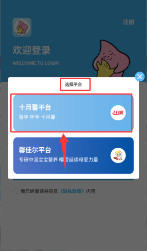 掌馨