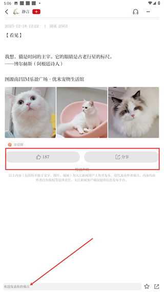 大江新闻