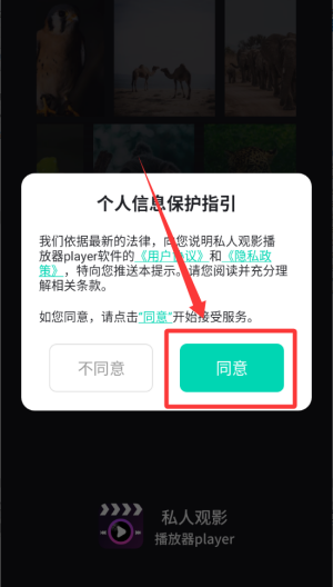 私人观影播放器player