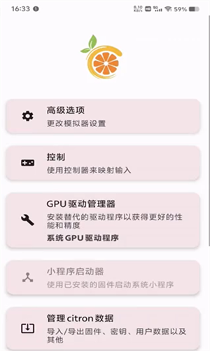 Citron模拟器手机版截图1