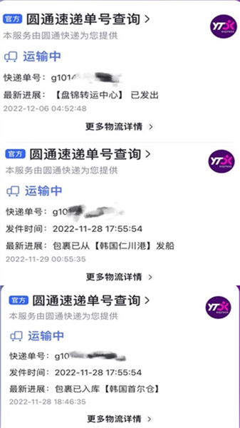 液体猫2026最新版