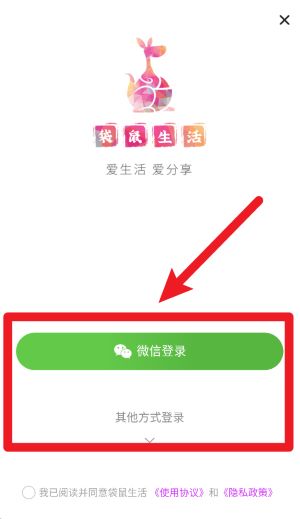 袋鼠生活