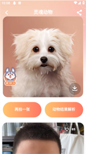灵魂宠物相机