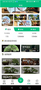 盆景世界截图0