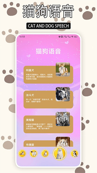 爱游猫截图1