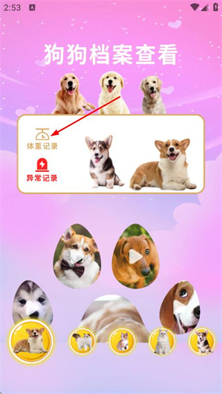 爱游猫