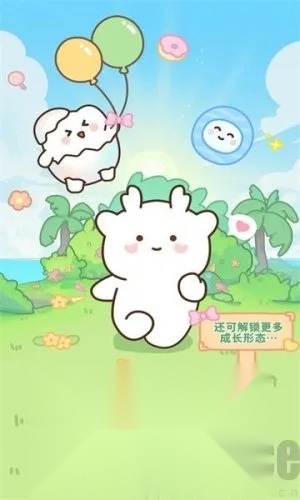 PawLove2025  安卓版