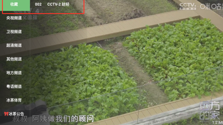 冰茶TV