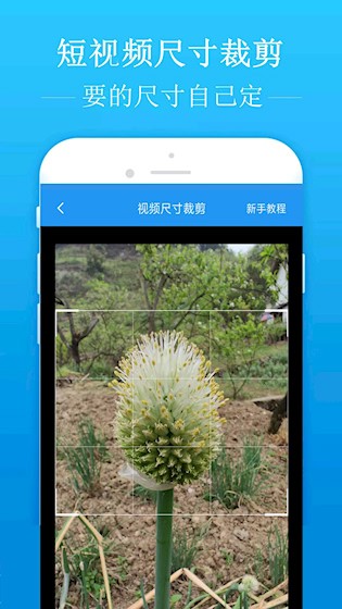 去水印吧安卓版截图3