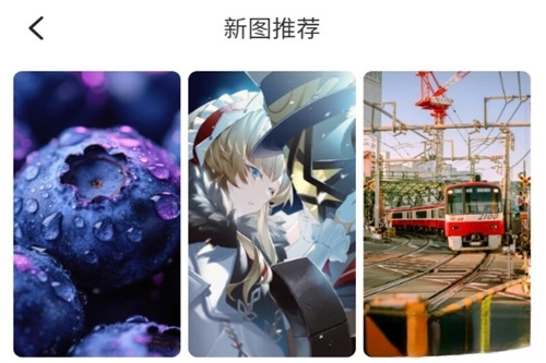 壁纸君最新版