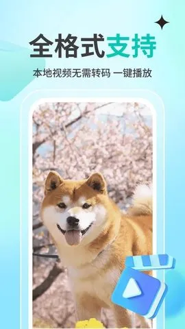 私人观影播放器player最新手机版截图2