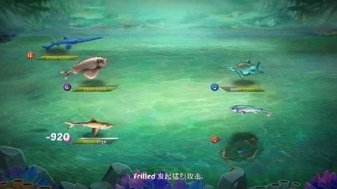 鲨鱼世界