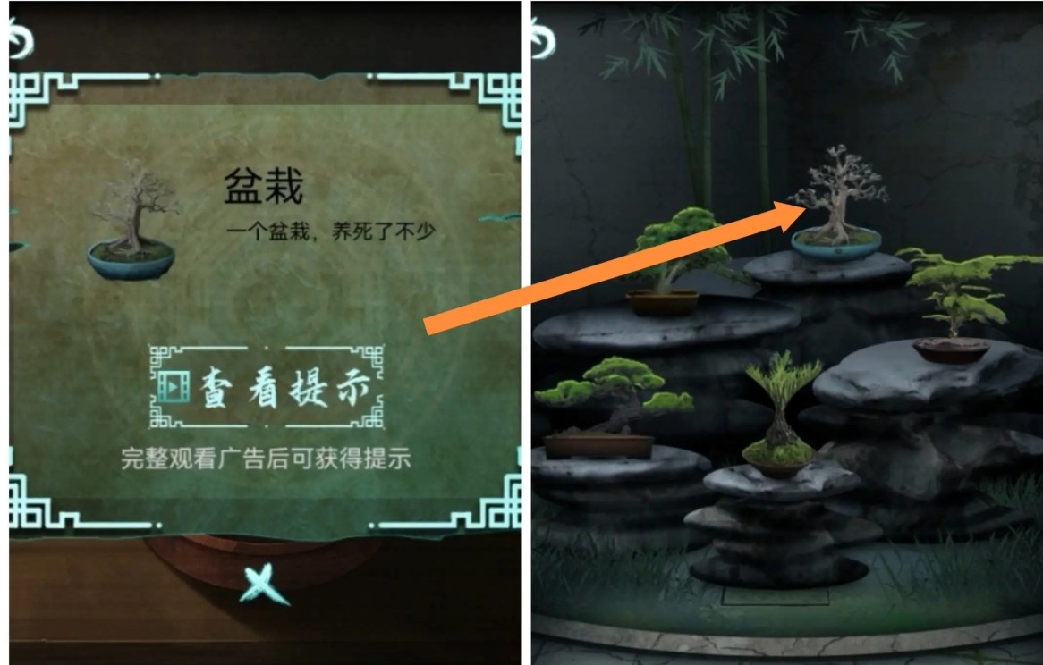 道道道人间道最新版