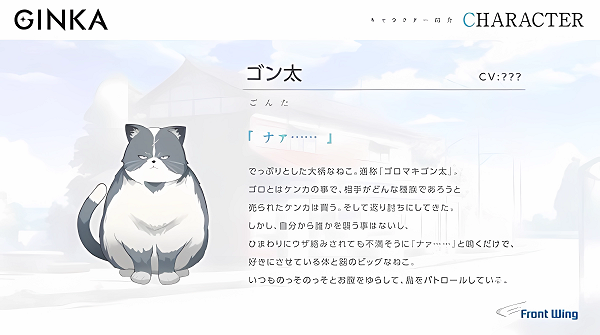 ginka银花正版