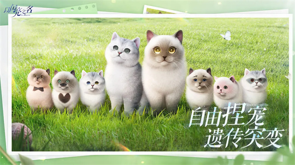 以闪亮之名新马服截图4