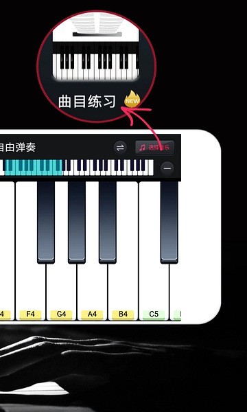 钢琴键盘绿色版截图0