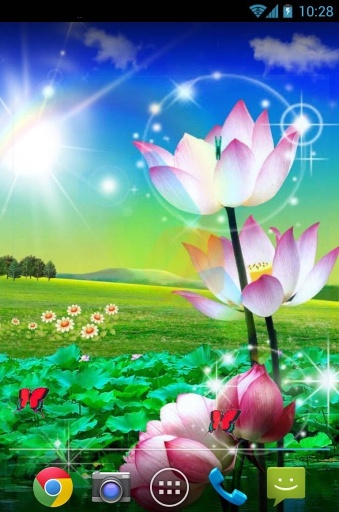 荷花壁纸最新版