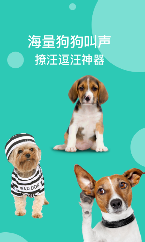 狗语翻译免费版截图0